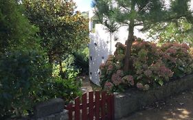Casa Do Pedro E Da Marina